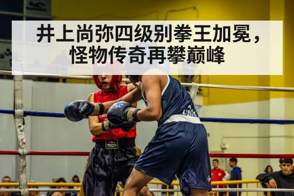 井上尚弥四级别拳王加冕，怪物传奇再攀巅峰